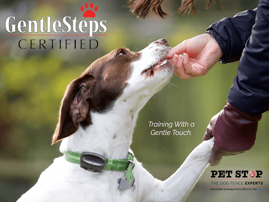 GentleSteps Dog Training